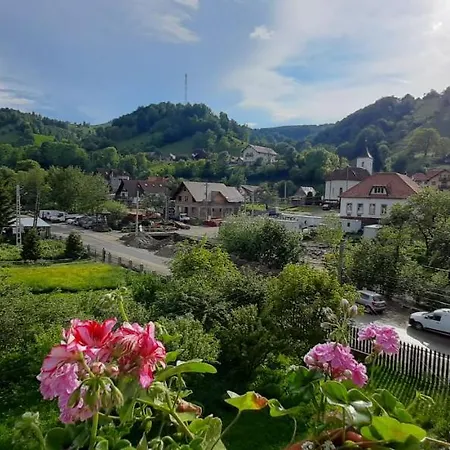 Pensiunea Montan Din Bran,sat Simon Indoor Bran (Brasov)